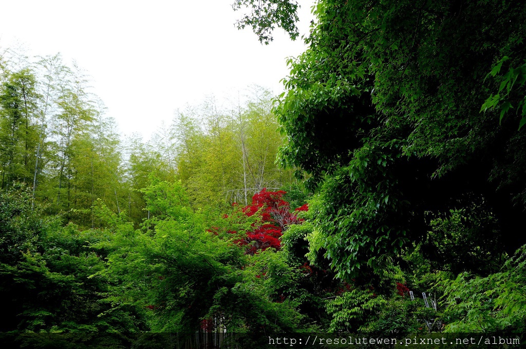 P1080819.JPG P1080819.JPG