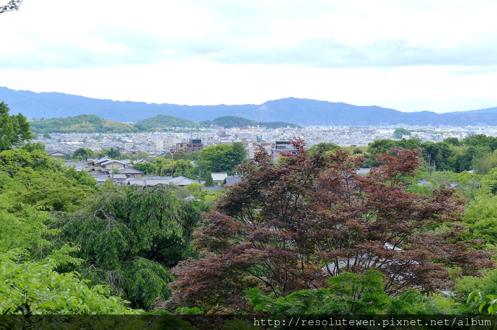 P1080820.JPG P1080820.JPG