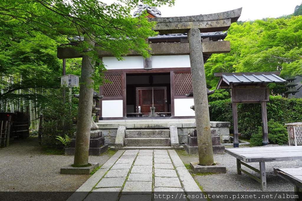 P1080825.JPG P1080825.JPG