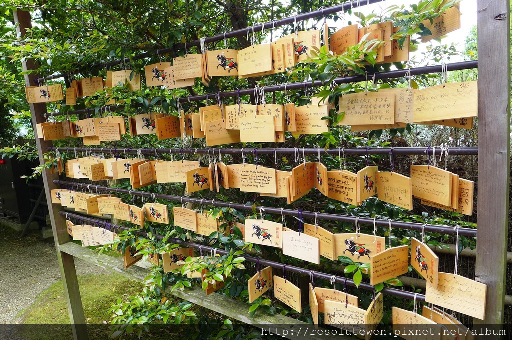 P1080838.JPG P1080838.JPG