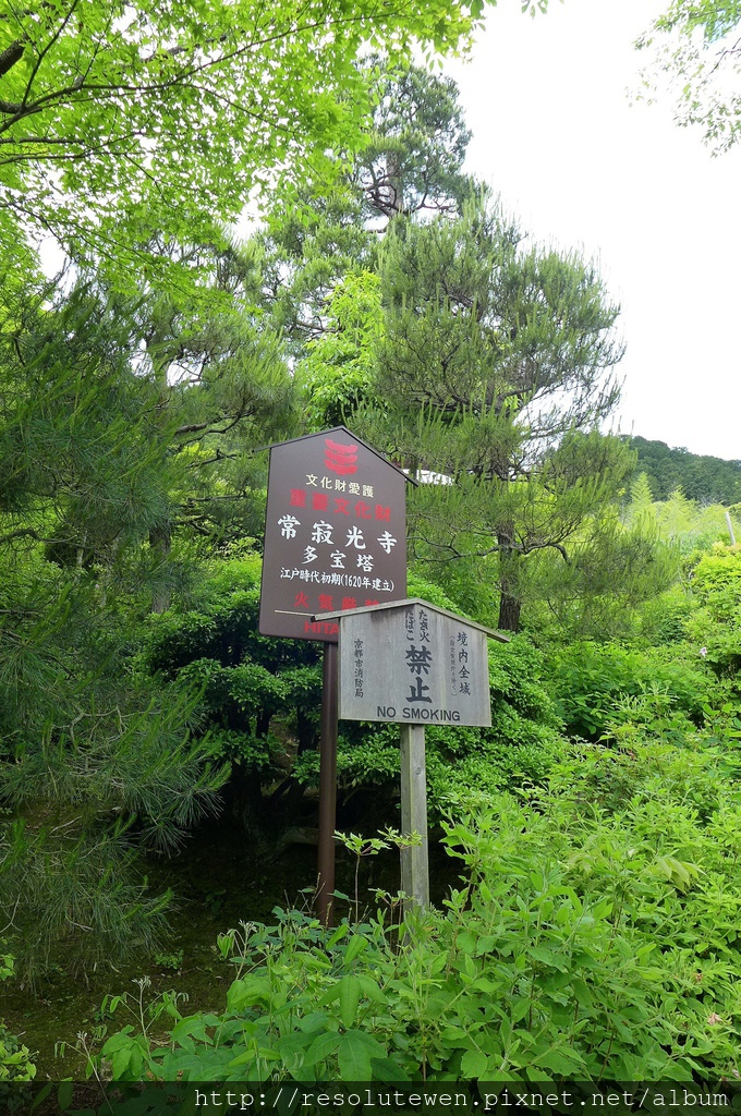 P1080843.JPG P1080843.JPG