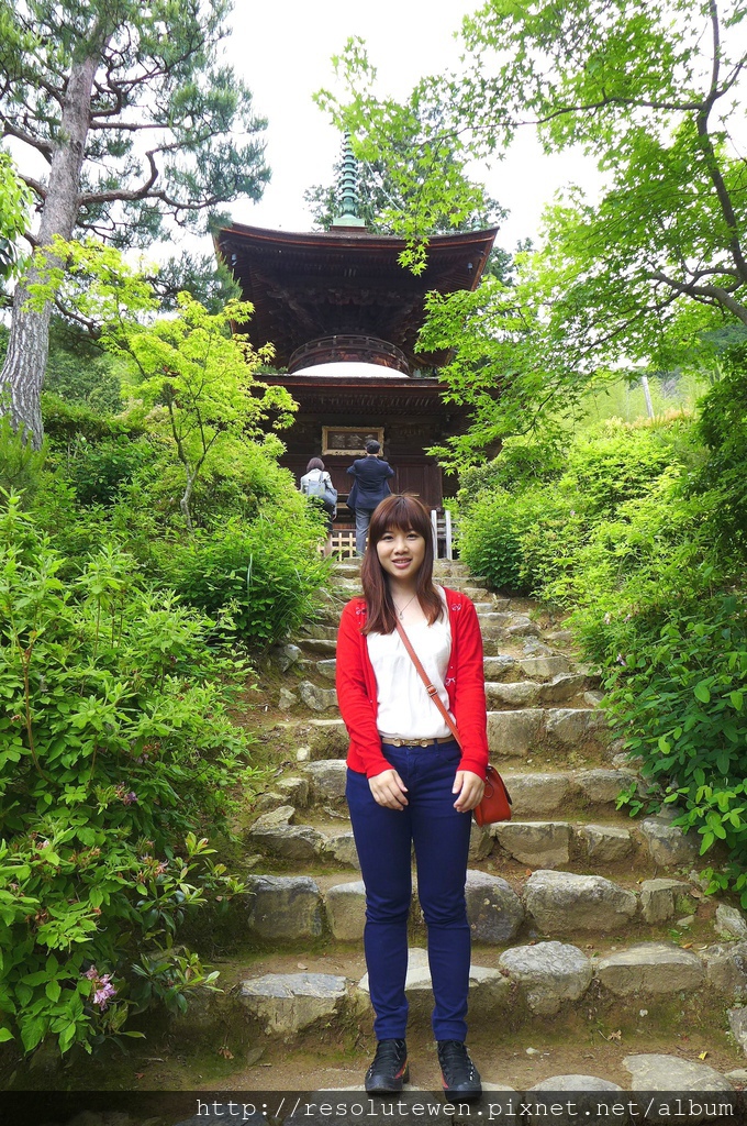 P1080845.JPG P1080845.JPG