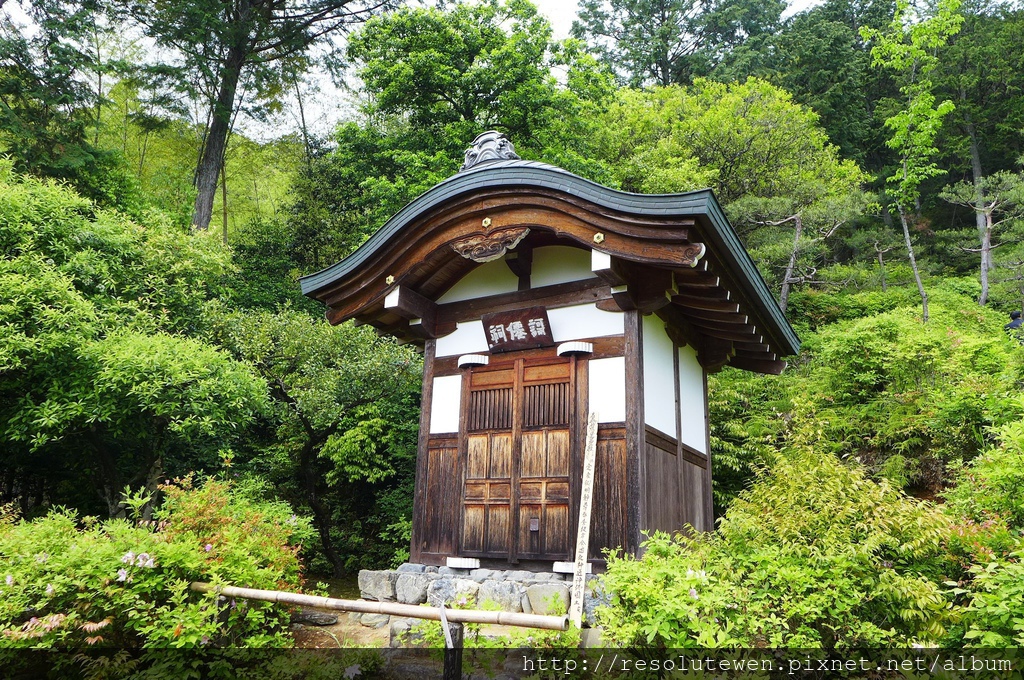 P1080855.JPG P1080855.JPG