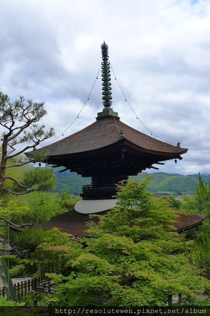 P1080856.JPG P1080856.JPG