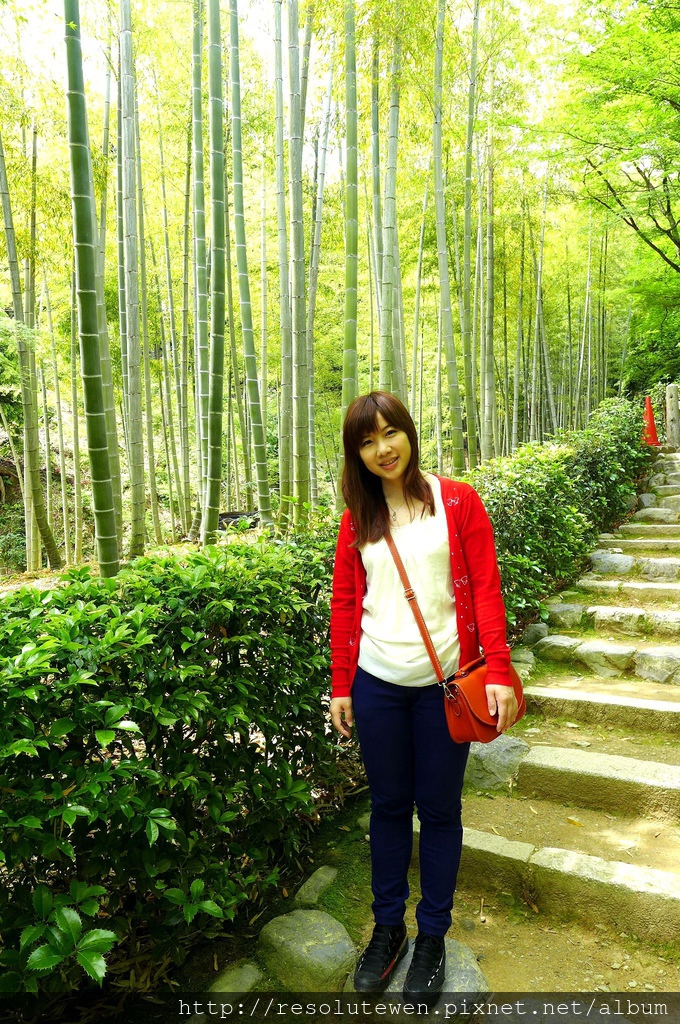 P1080871.JPG P1080871.JPG