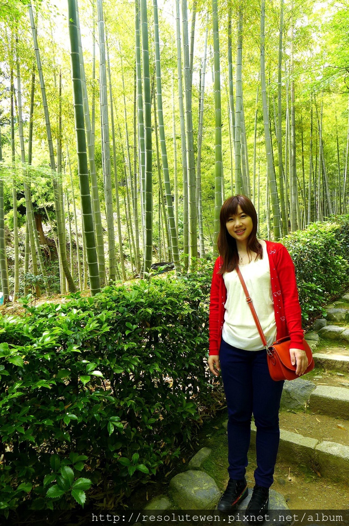 P1080872.JPG P1080872.JPG