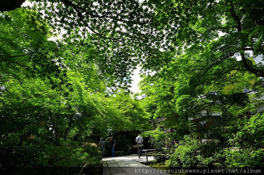 P1080878.JPG P1080878.JPG