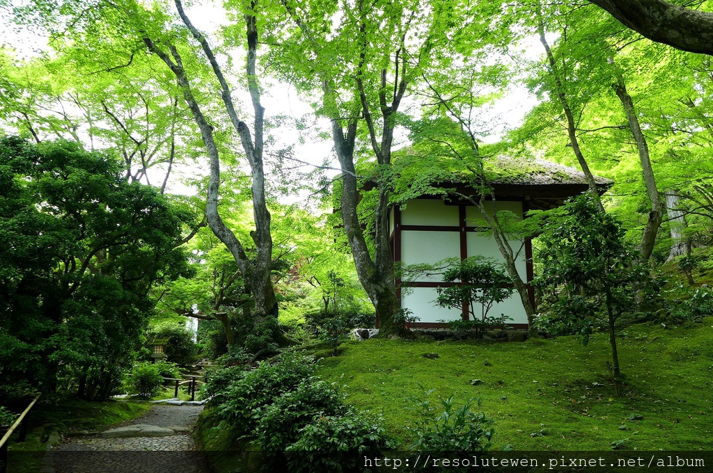 P1080881.JPG P1080881.JPG