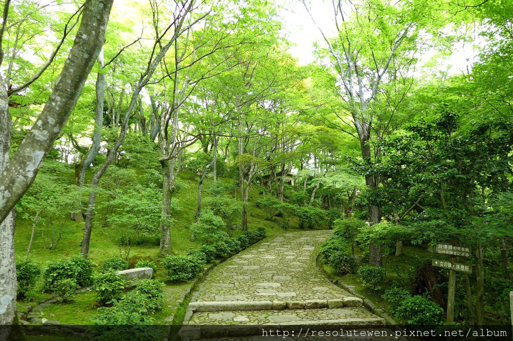 P1080883.JPG P1080883.JPG