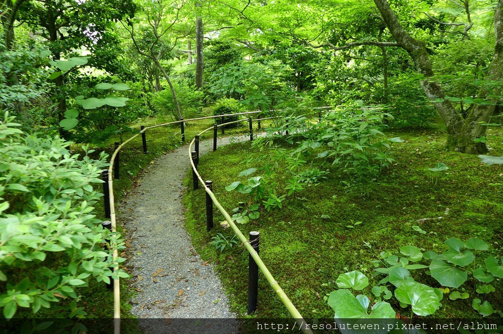 P1080884.JPG P1080884.JPG