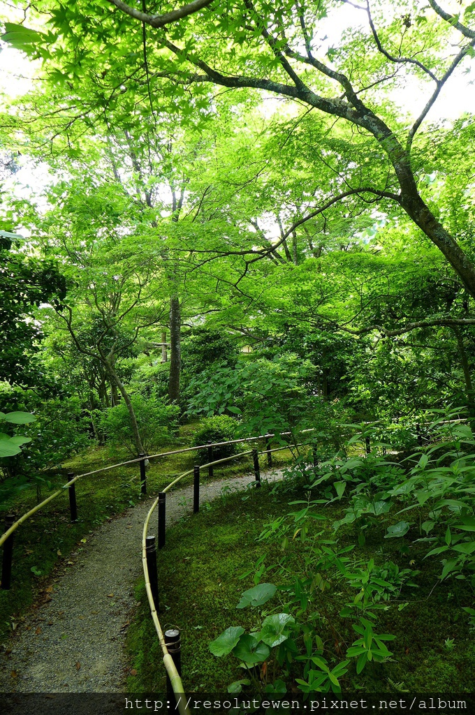 P1080885.JPG P1080885.JPG