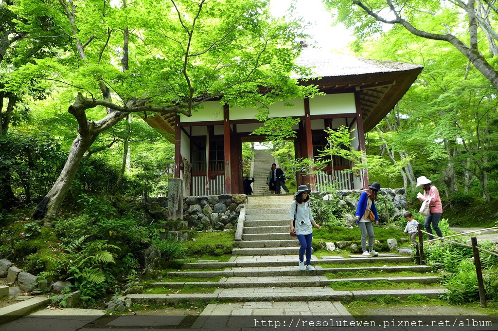 P1080893.JPG P1080893.JPG