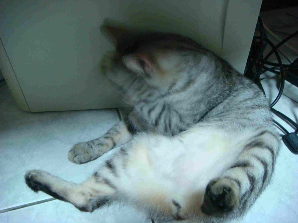 DSC06616.JPG DSC06616.JPG