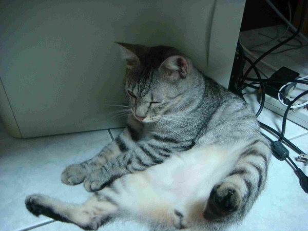 DSC06617.JPG DSC06617.JPG