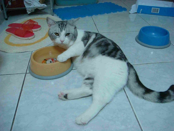 DSC07316.JPG DSC07316.JPG