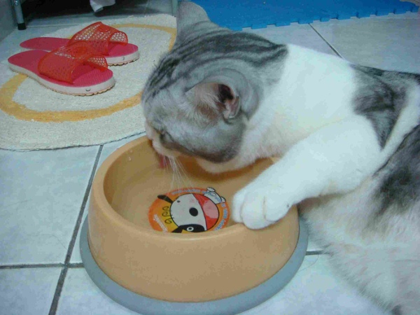 DSC07320.JPG DSC07320.JPG