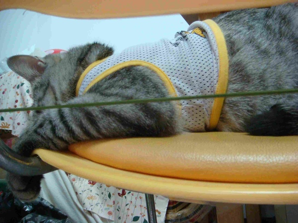 DSC07509.JPG DSC07509.JPG