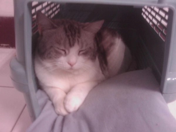 IMAG0059.JPG IMAG0059.JPG