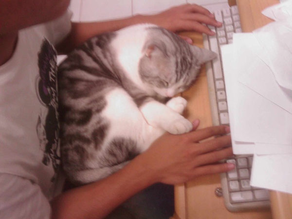 IMAG0063.JPG IMAG0063.JPG