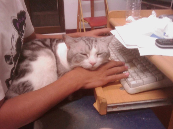 IMAG0065.JPG IMAG0065.JPG