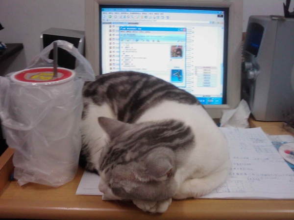 IMAG0079.JPG IMAG0079.JPG