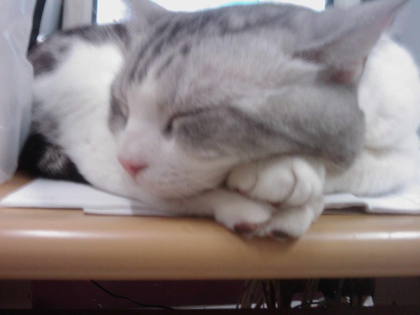 IMAG0080.JPG IMAG0080.JPG