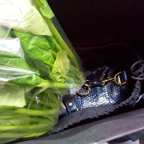 IMG_20141218_152737[1]