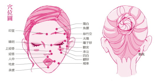 臉部刮痧排毒 造就素顏小臉美人_穴位圖  