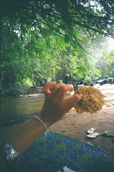 國家公園 in 清邁