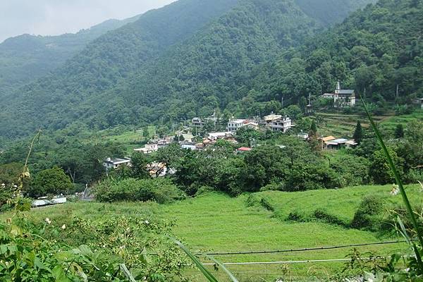 DSCF3406.jpg DSCF3406.jpg