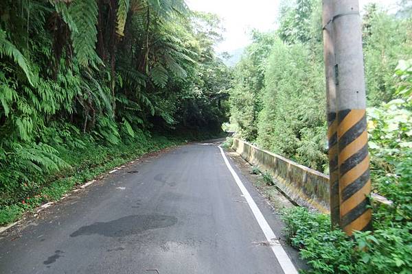 DSCF3407.jpg DSCF3407.jpg