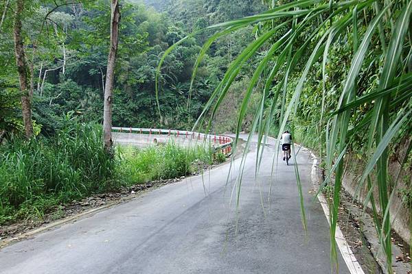 DSCF3412.jpg DSCF3412.jpg