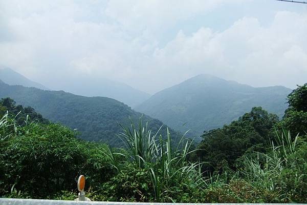 DSCF3447.jpg DSCF3447.jpg