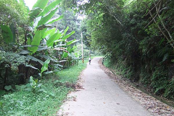 DSCF3452.jpg DSCF3452.jpg