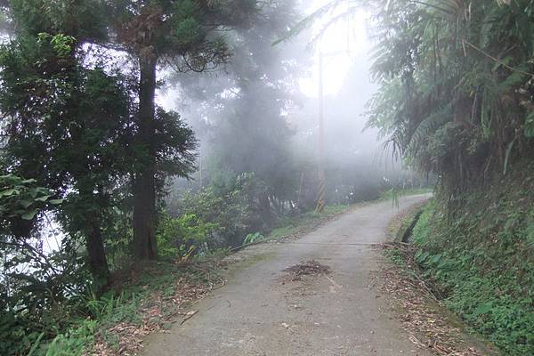 DSCF3454.jpg DSCF3454.jpg