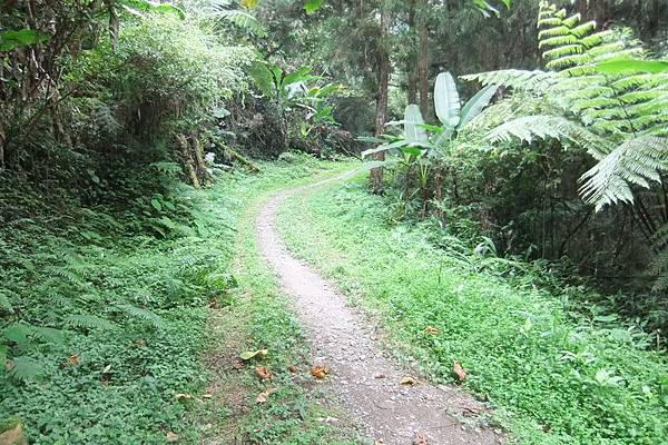 DSCF3472.jpg DSCF3472.jpg