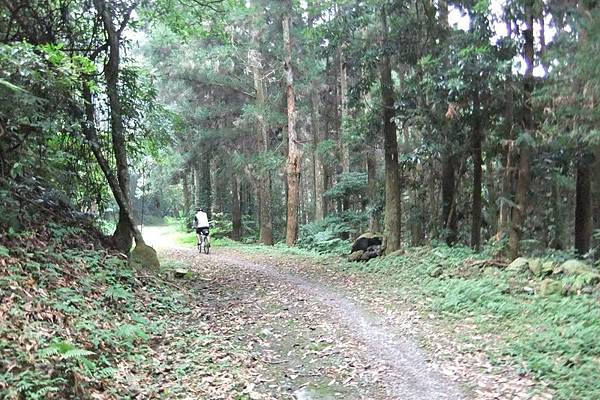 DSCF3483.jpg DSCF3483.jpg