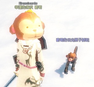猴子1.jpg 猴子1.jpg