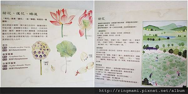 page page