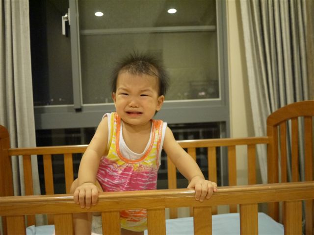 P1000774.JPG P1000774.JPG