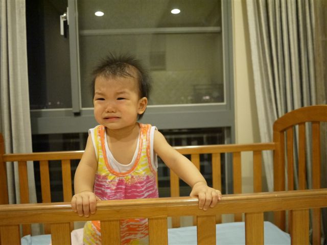 P1000776.JPG P1000776.JPG