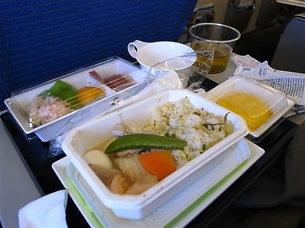 ANA飛機餐.JPG