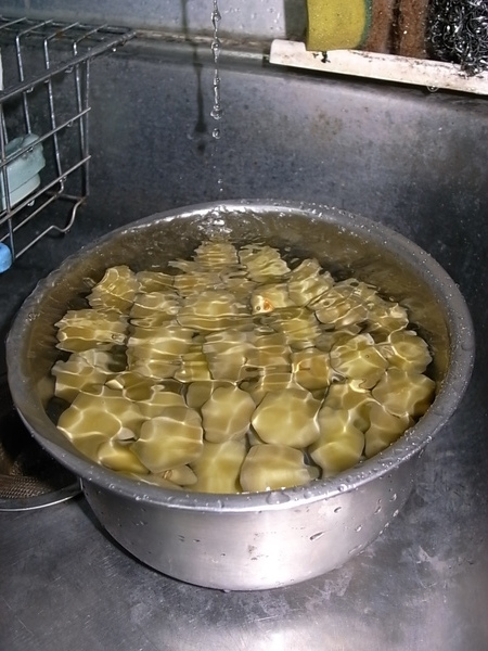 梅子漂水.JPG 梅子漂水.JPG