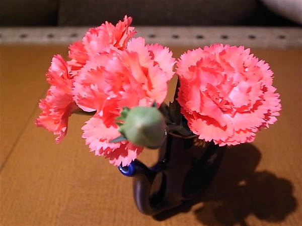R0016184.JPG R0016184.JPG