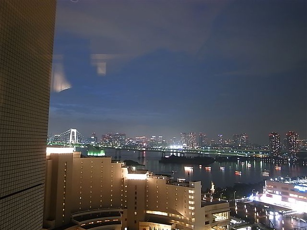 飯店窗外的夜景.JPG