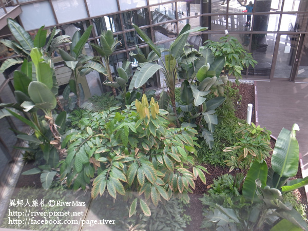 巧克力共和國 22 巧克力共和國 22