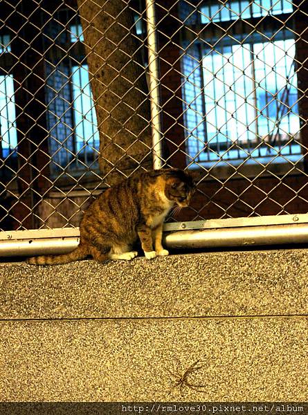 IMG_6512.JPG IMG_6512.JPG