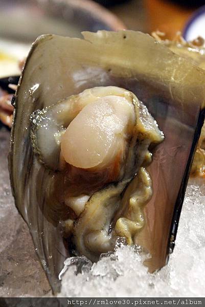 IMG_3553.jpg IMG_3553.jpg