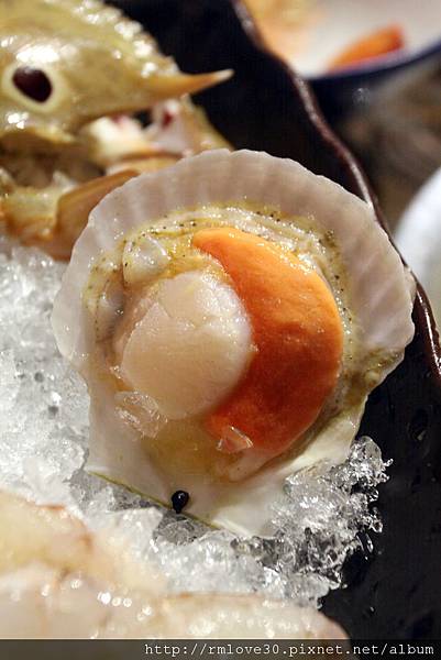 IMG_3555.jpg IMG_3555.jpg