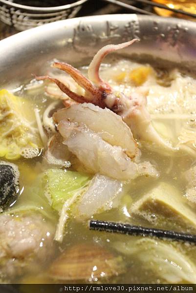 IMG_3559.JPG IMG_3559.JPG